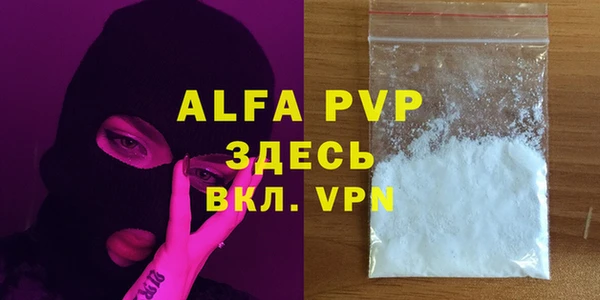 a pvp Пересвет