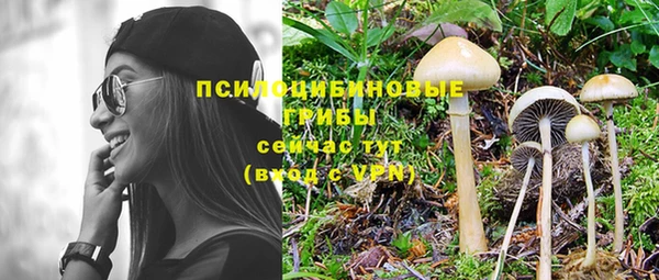 a pvp Пересвет
