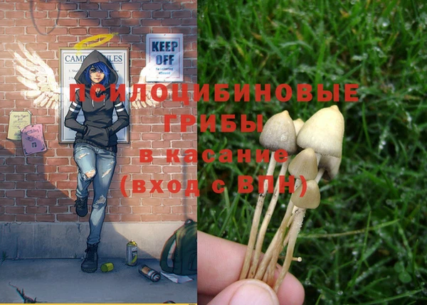 a pvp Пересвет