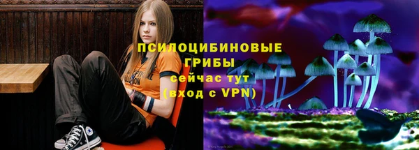 ALPHA PVP Переславль-Залесский